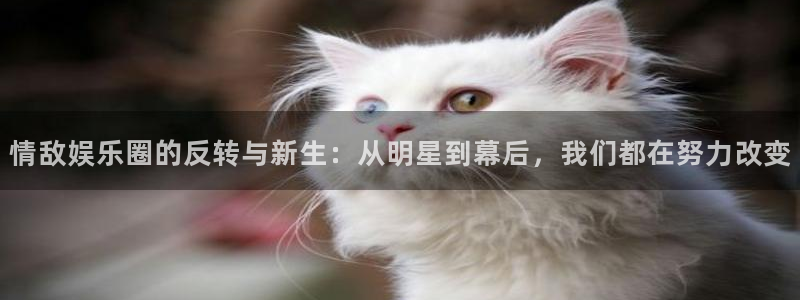 欧陆平台2平台登录：情敌娱乐圈的反转与新生：从明星到幕后，我们都在努力改变