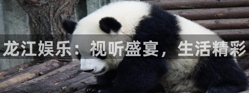 欧陆平台：龙江娱乐：视听盛宴，生活精彩