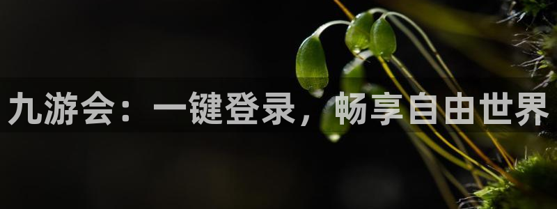 欧陆平台登陆：九游会：一键登录，畅享自由世界