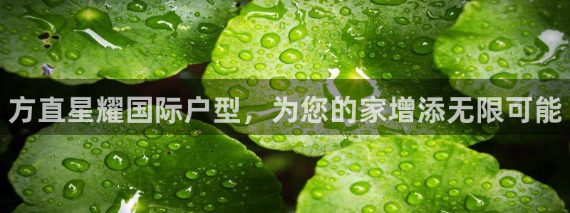 欧陆平台vip麻将胡了：方直星耀国际户型，为您的家增添无限可能