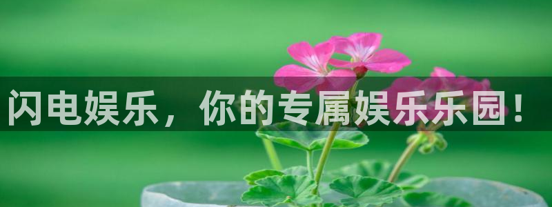 欧陆平台体育eon：闪电娱乐，你的专属娱乐乐园！