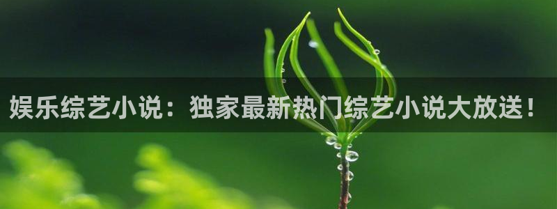 欧陆平台登录：娱乐综艺小说：独家最新热门综艺小说大放送！
