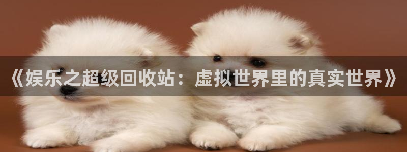 欧陆平台平台主管：《娱乐之超级回收站：虚拟世界里的真实世界》