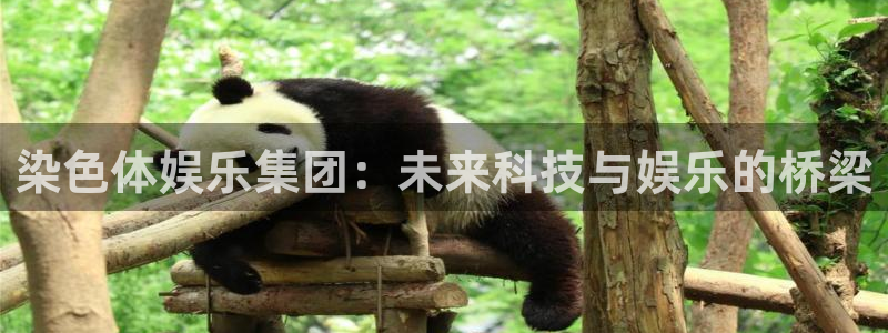 欧陆平台app哪个模式容易赢：染色体娱乐集团：未来科技与娱乐的桥梁