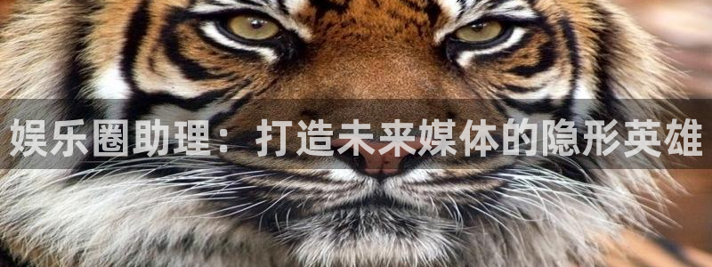 欧陆平台.ccmpc29官网版下载