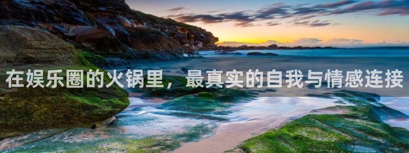 欧陆平台官网：在娱乐圈的火锅里，最真实的自我与情感连接
