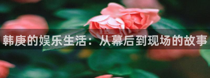 欧陆平台.ccmpc正版官网版下载：韩庚的娱乐生活：从幕后到现场的故事