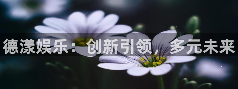 欧陆平台放水时间：德漾娱乐：创新引领，多元未来