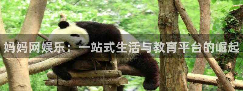 欧陆平台预测在线预测：妈妈网娱乐：一站式生活与教育平台的崛起