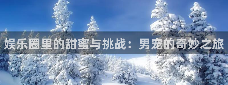 欧陆平台平台招商：娱乐圈里的甜蜜与挑战：男宠的奇妙之旅