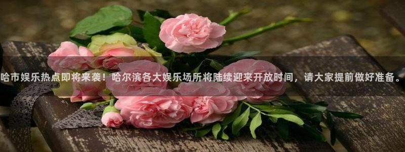 欧陆平台平台官网入口下载：哈市娱乐热点即将来袭！哈尔滨各大娱乐场所将陆续迎来开放时间，请大家提前做好准备。