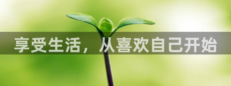 欧陆平台主管