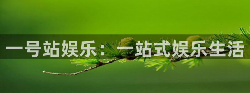 欧陆平台凯捷开号链接：一号站娱乐：一站式娱乐生活