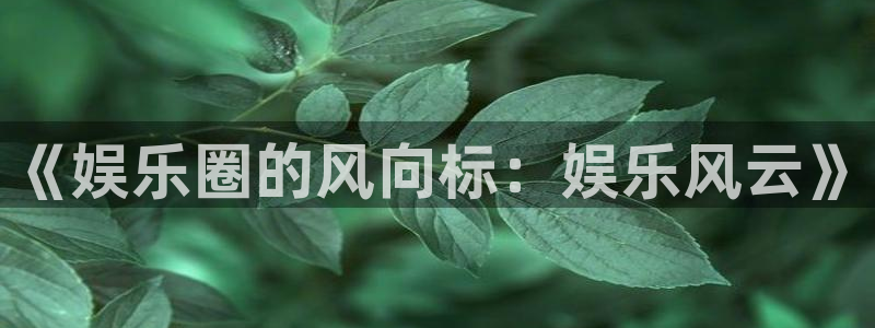 欧陆平台电子游戏网页版
