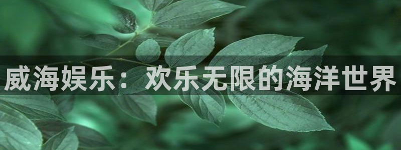 欧陆平台3登录：威海娱乐：欢乐无限的海洋世界