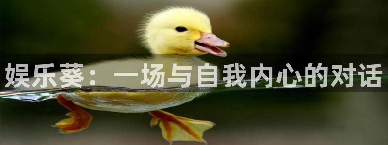 欧陆平台3平台登录注册：娱乐葵：一场与自我内心的对话