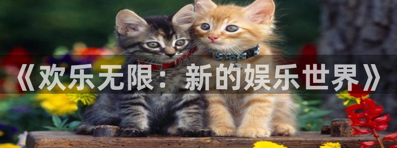 欧陆平台3登录：《欢乐无限：新的娱乐世界》