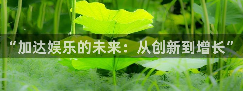 欧陆平台体育3在线注册：“加达娱乐的未来：从创新到增长”