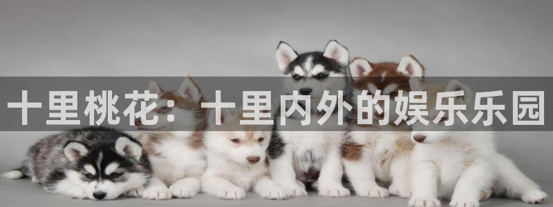 欧陆平台注册平台：十里桃花：十里内外的娱乐乐园