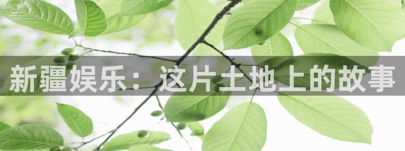 欧陆平台.ccmpc29官网版下载：新疆娱乐：这片土地上的故事
