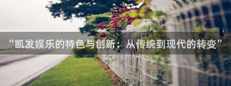 欧陆平台5：“凯发娱乐的特色与创新：从传统到现代的转变”