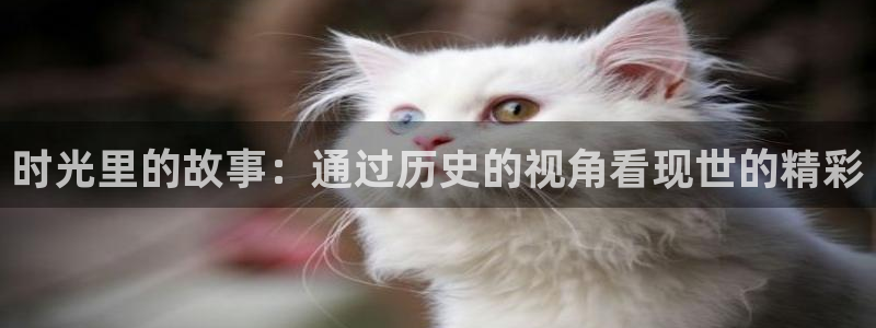 欧陆平台预测在线预测：时光里的故事：通过历史的视角看现世的精彩