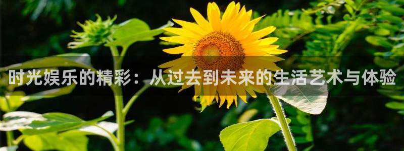 欧陆平台平台注册入口：时光娱乐的精彩：从过去到未来的生活艺术与体验