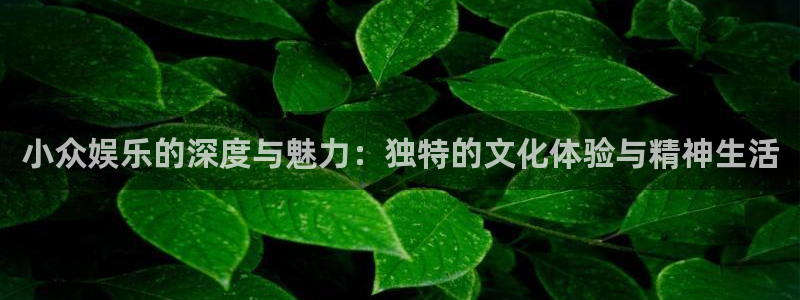 欧陆平台app下载：小众娱乐的深度与魅力：独特的文化体验与精神生活
